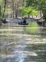 /album/fotogalerij-fotogalerij/a11215861-1638555013098331-4012250801404055247-n-jpg/